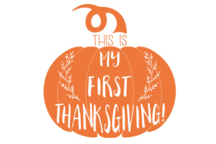 This is My First Thanksgiving: A Designer's Review